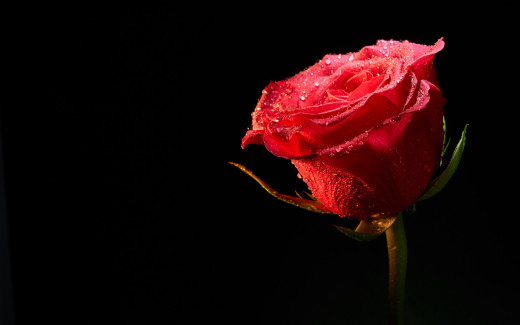 1025380 (a): :2880x1800